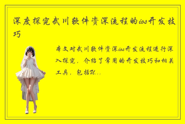 深度探究武川软件资深流程的ios开发技巧