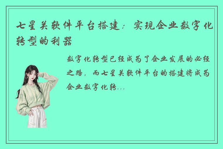 七星关软件平台搭建：实现企业数字化转型的利器