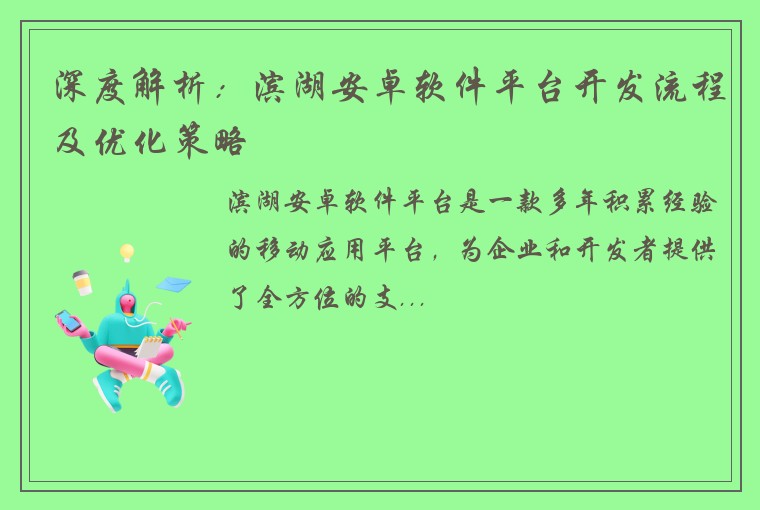 深度解析：滨湖安卓软件平台开发流程及优化策略