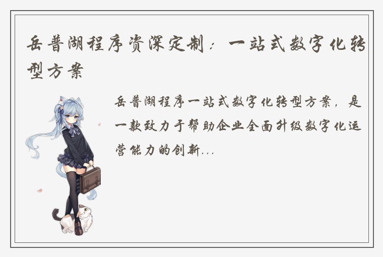 岳普湖程序资深定制：一站式数字化转型方案