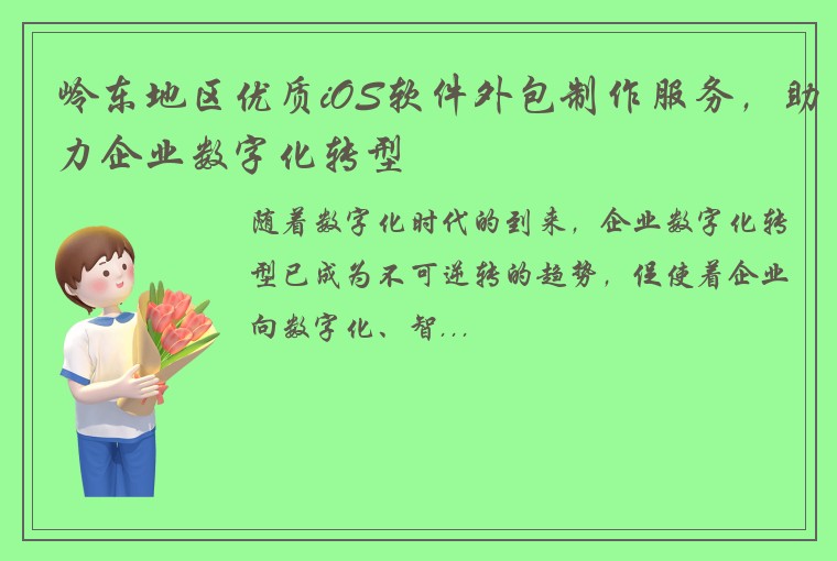 岭东地区优质iOS软件外包制作服务，助力企业数字化转型