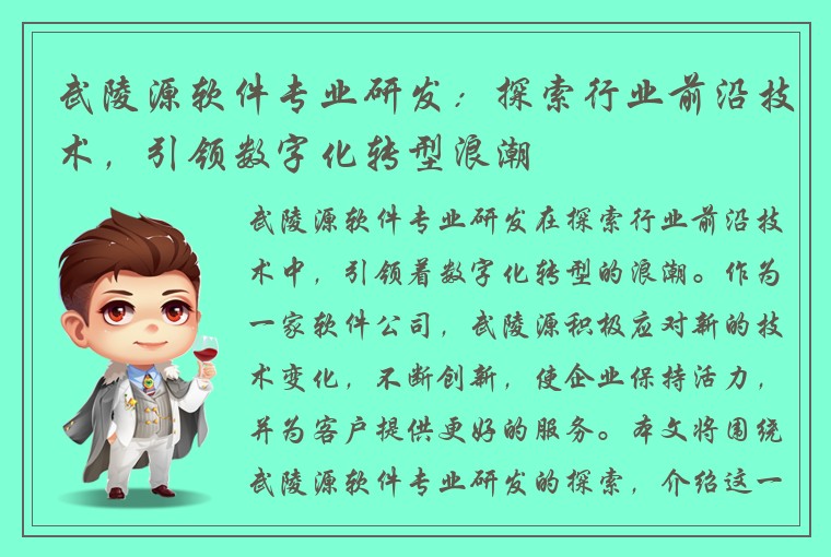 武陵源软件专业研发：探索行业前沿技术，引领数字化转型浪潮