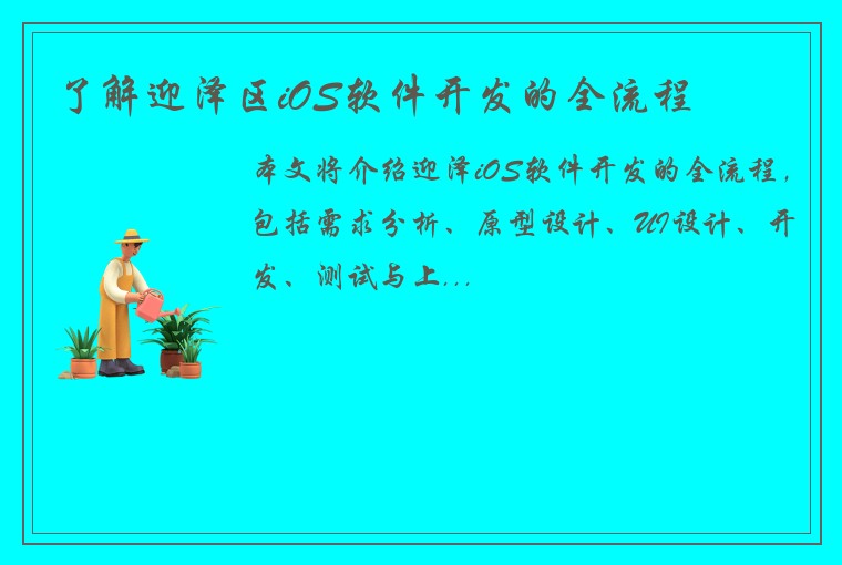 了解迎泽区iOS软件开发的全流程