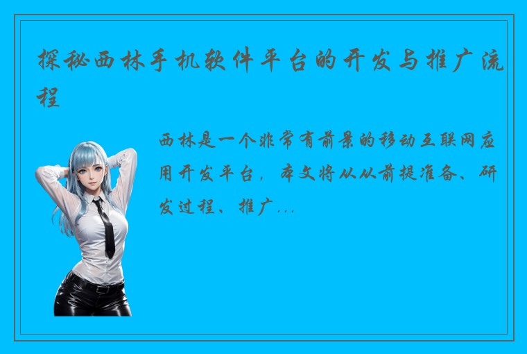 探秘西林手机软件平台的开发与推广流程