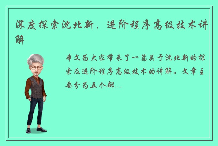 深度探索沈北新，进阶程序高级技术讲解