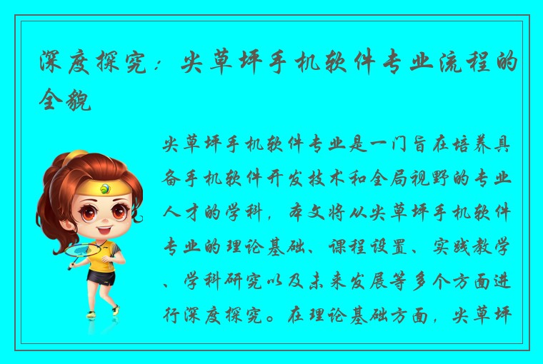 深度探究：尖草坪手机软件专业流程的全貌
