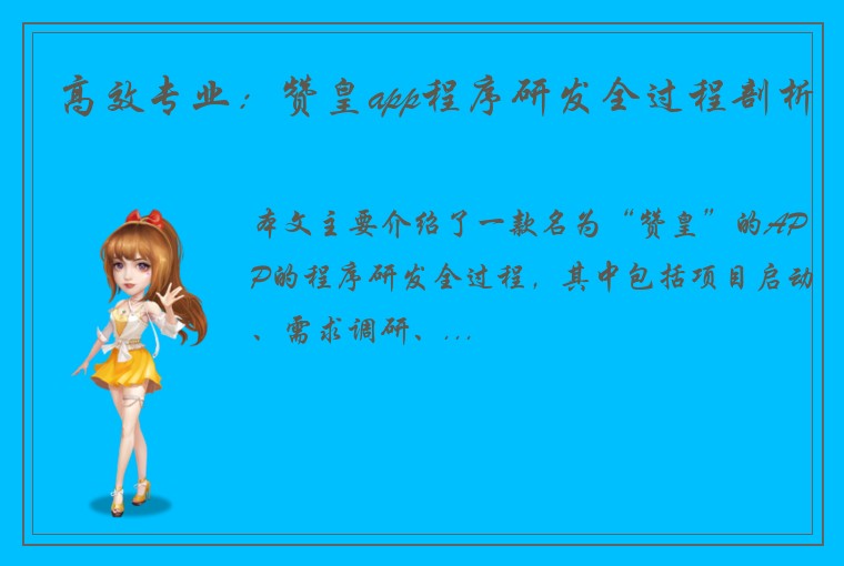 高效专业：赞皇app程序研发全过程剖析