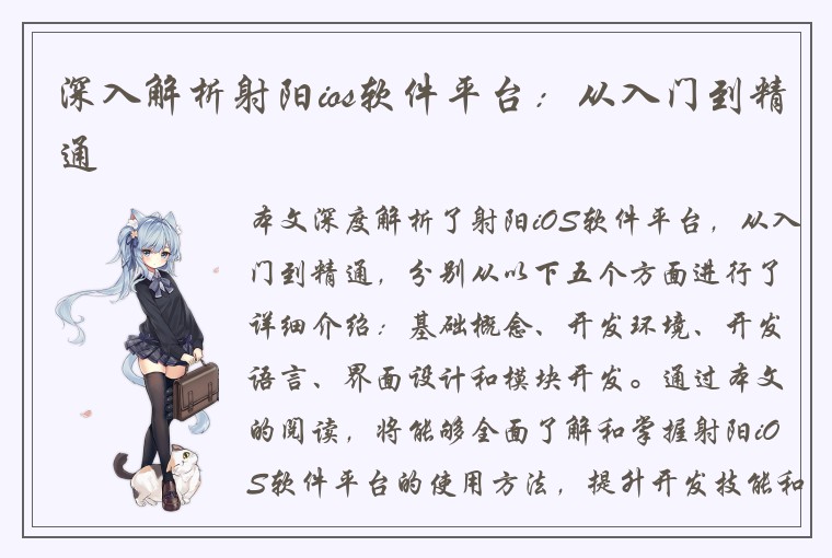 深入解析射阳ios软件平台：从入门到精通
