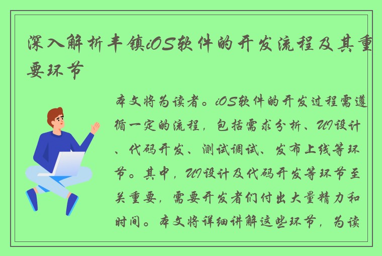 深入解析丰镇iOS软件的开发流程及其重要环节