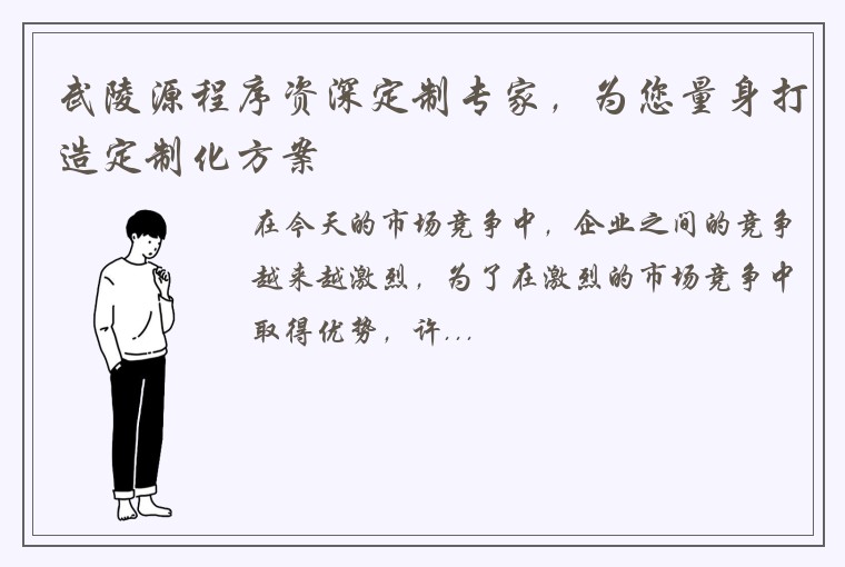 武陵源程序资深定制专家，为您量身打造定制化方案