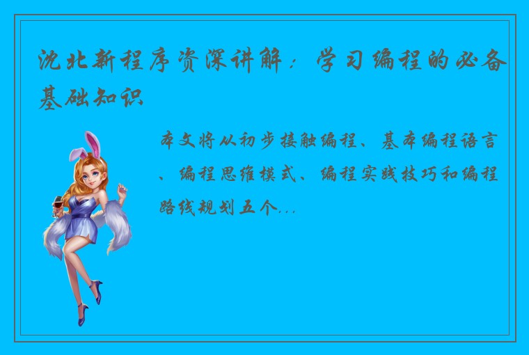 沈北新程序资深讲解：学习编程的必备基础知识