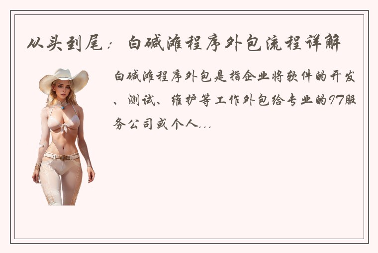 从头到尾：白碱滩程序外包流程详解