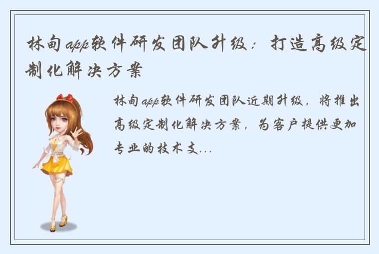 林甸app软件研发团队升级：打造高级定制化解决方案