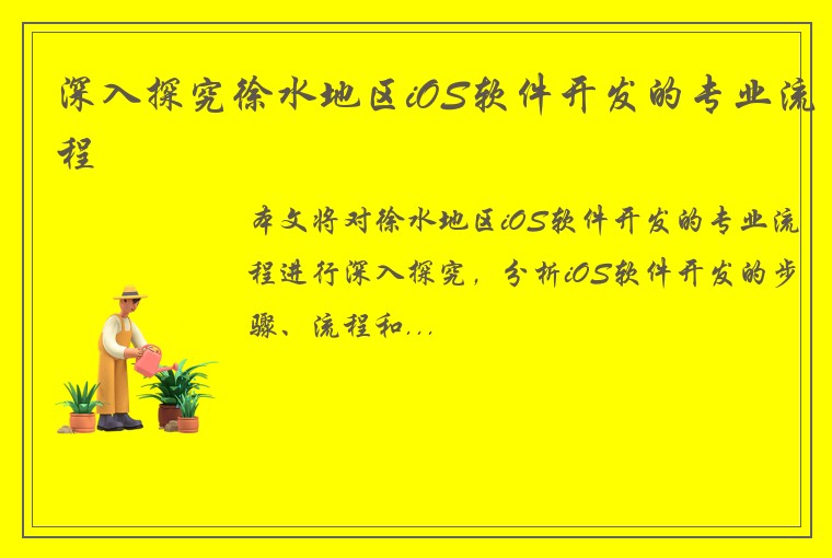 深入探究徐水地区iOS软件开发的专业流程