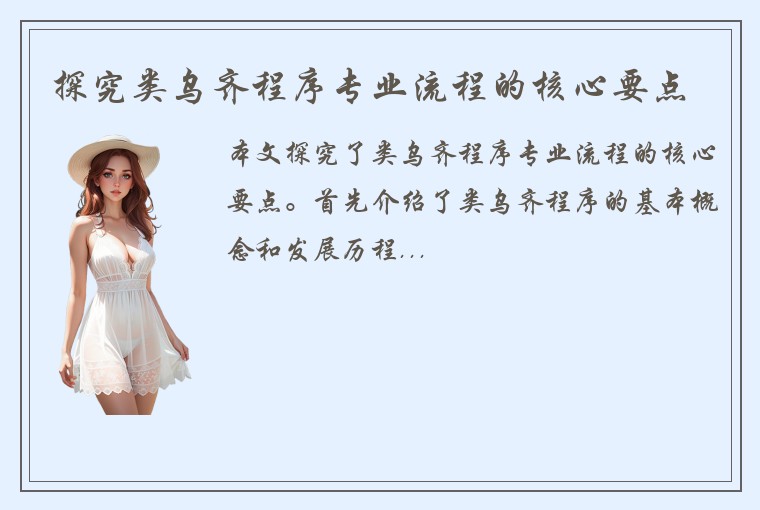 探究类乌齐程序专业流程的核心要点