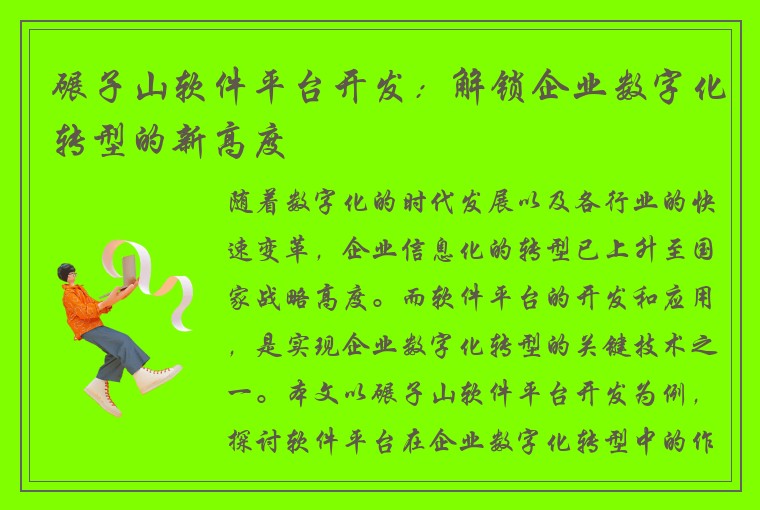 碾子山软件平台开发：解锁企业数字化转型的新高度