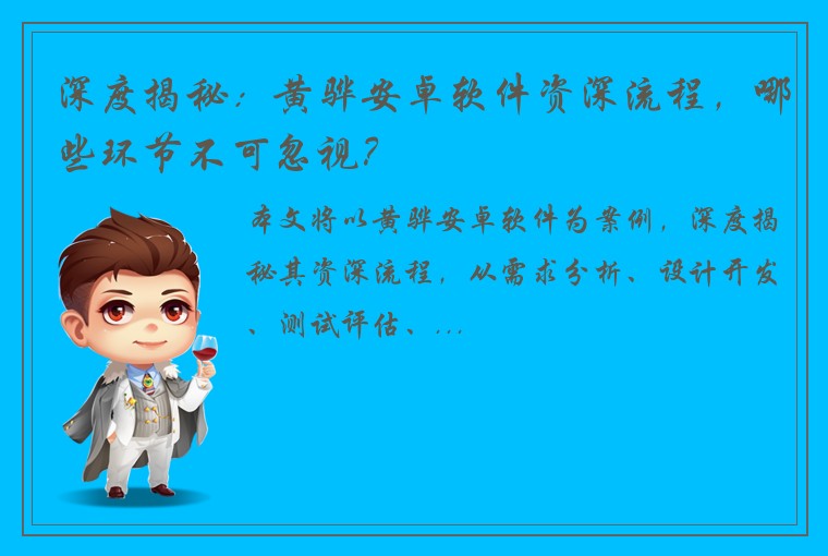 深度揭秘：黄骅安卓软件资深流程，哪些环节不可忽视？
