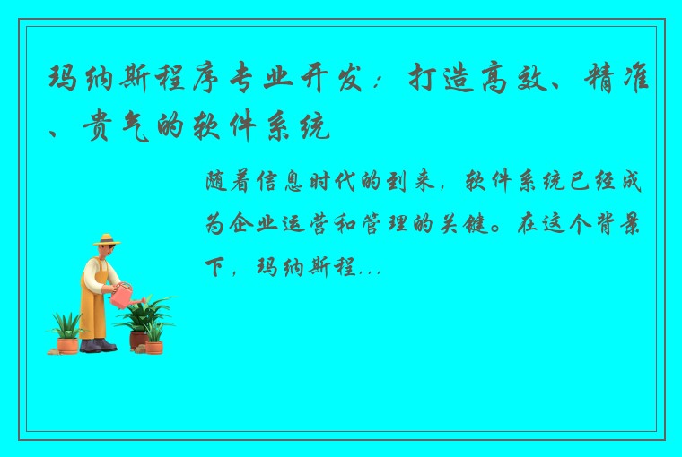 玛纳斯程序专业开发：打造高效、精准、贵气的软件系统
