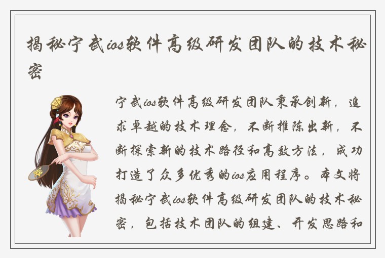 揭秘宁武ios软件高级研发团队的技术秘密