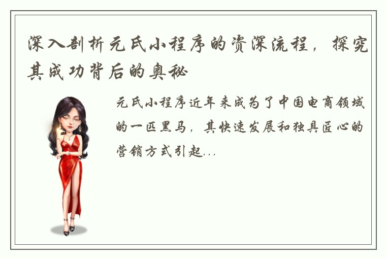 深入剖析元氏小程序的资深流程,探究其成功背后的奥秘