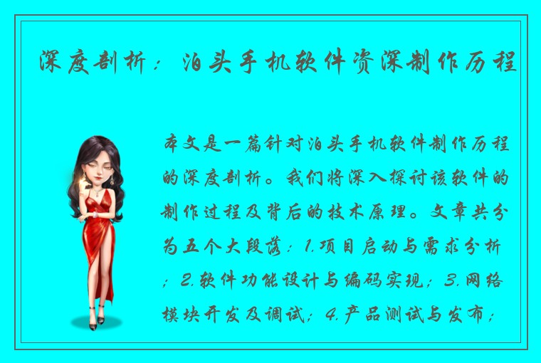 深度剖析：泊头手机软件资深制作历程