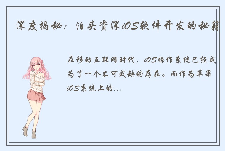 深度揭秘:泊头资深iOS软件开发的秘籍