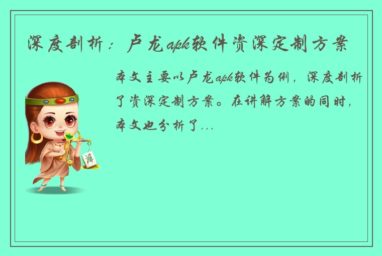 深度剖析：卢龙apk软件资深定制方案