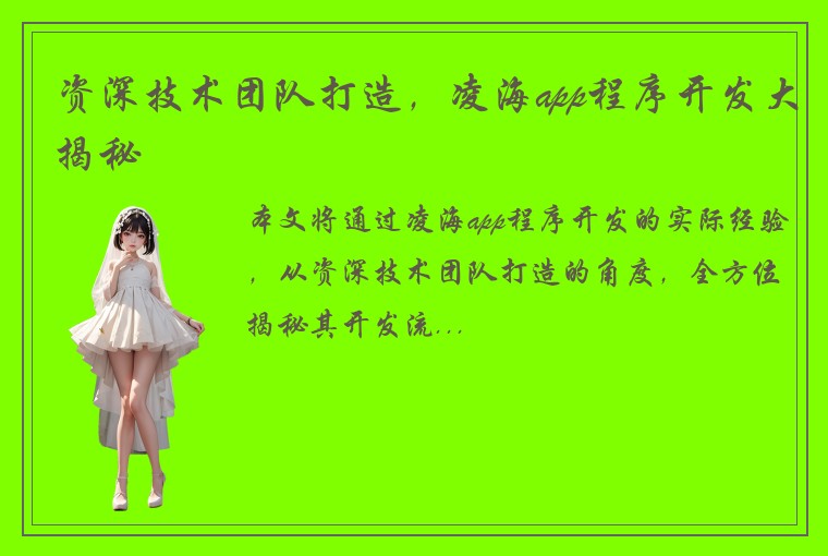 资深技术团队打造，凌海app程序开发大揭秘