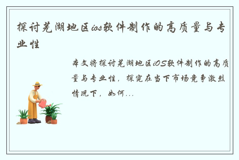 探讨芜湖地区ios软件制作的高质量与专业性