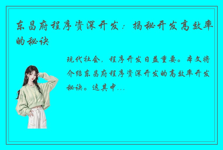 东昌府程序资深开发：揭秘开发高效率的秘诀