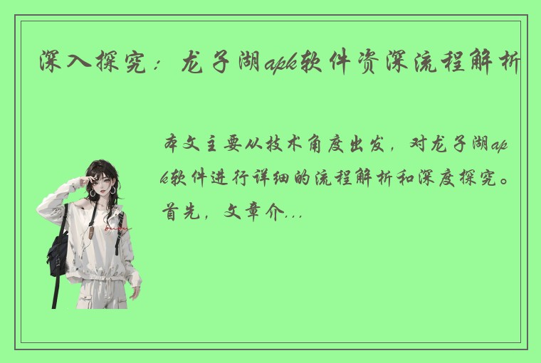 深入探究：龙子湖apk软件资深流程解析