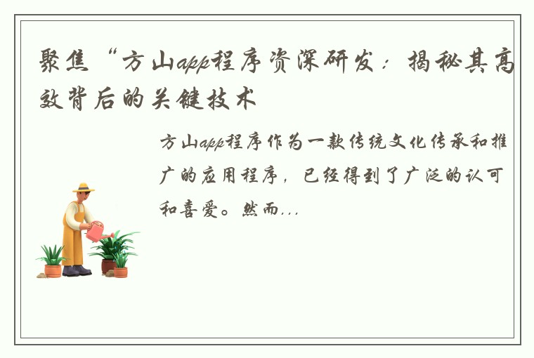 聚焦“方山app程序资深研发:揭秘其高效背后的关键技术